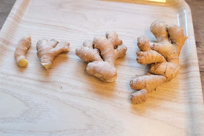 
Sorting Vegetables by Size
