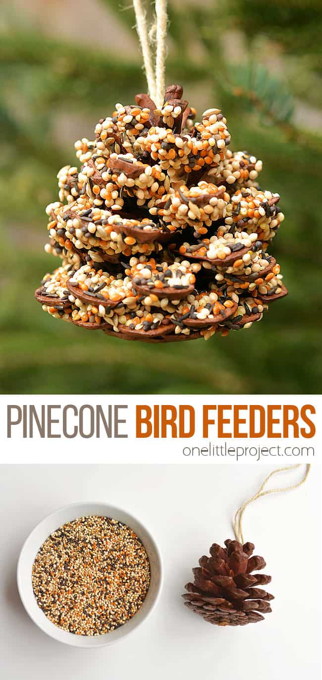 
Pinecone, Bird Seed, and Peanut Butter.