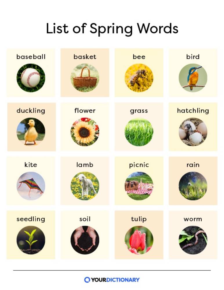 
WordList-Spring D2-D3